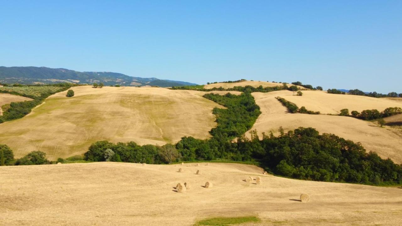 Glamping Le Dune Cinigiano Bagian luar foto