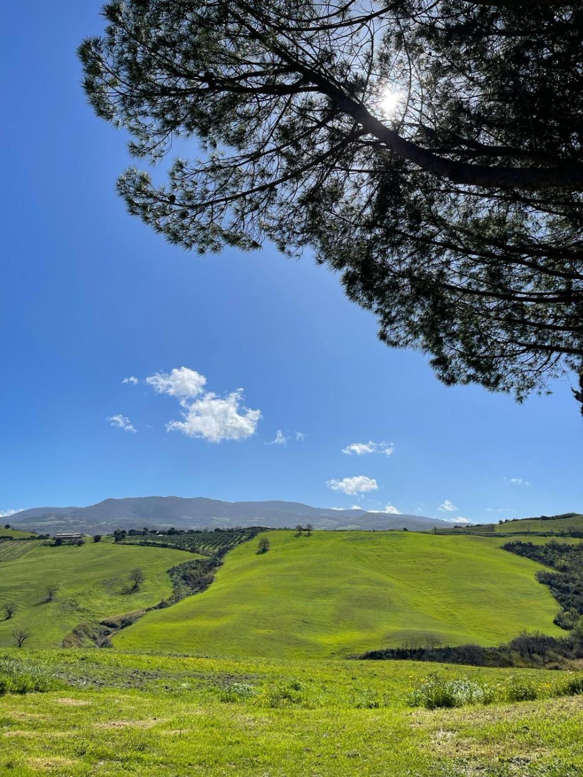 Glamping Le Dune Cinigiano Bagian luar foto