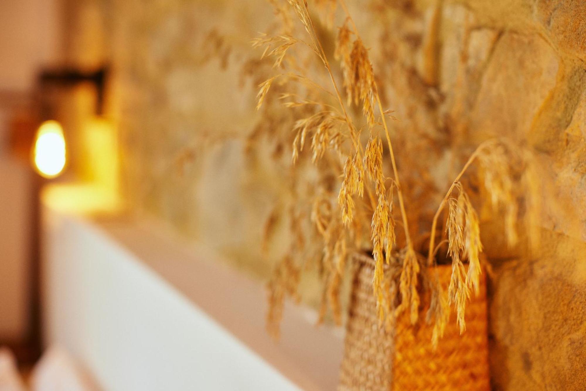 Glamping Le Dune Cinigiano Bagian luar foto